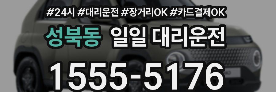 성북동 일일 대리운전