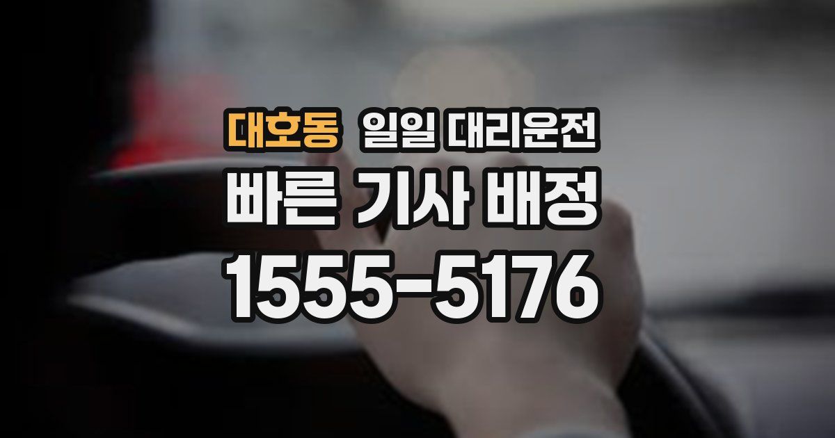 대호동 일일 대리운전