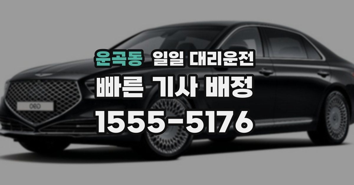 운곡동 일일 대리운전