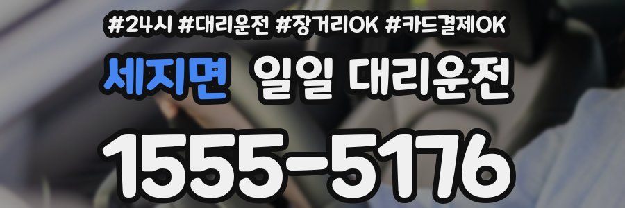 세지면 일일 대리운전