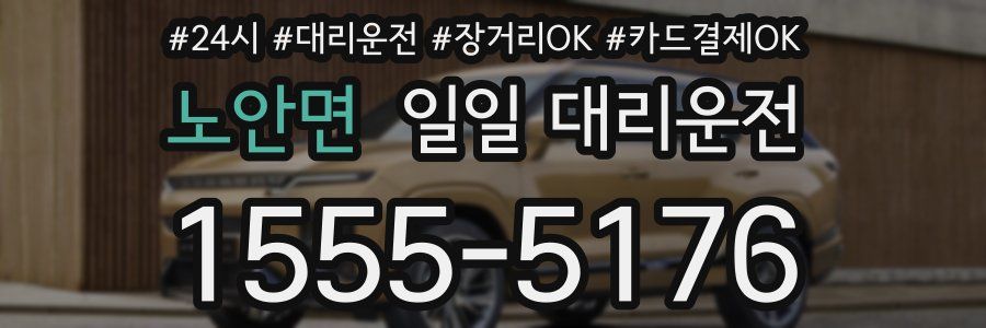 노안면 일일 대리운전