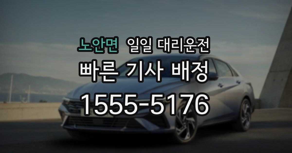 노안면 일일 대리운전