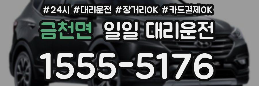 금천면 일일 대리운전