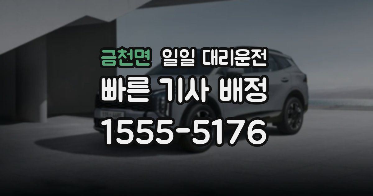 금천면 일일 대리운전