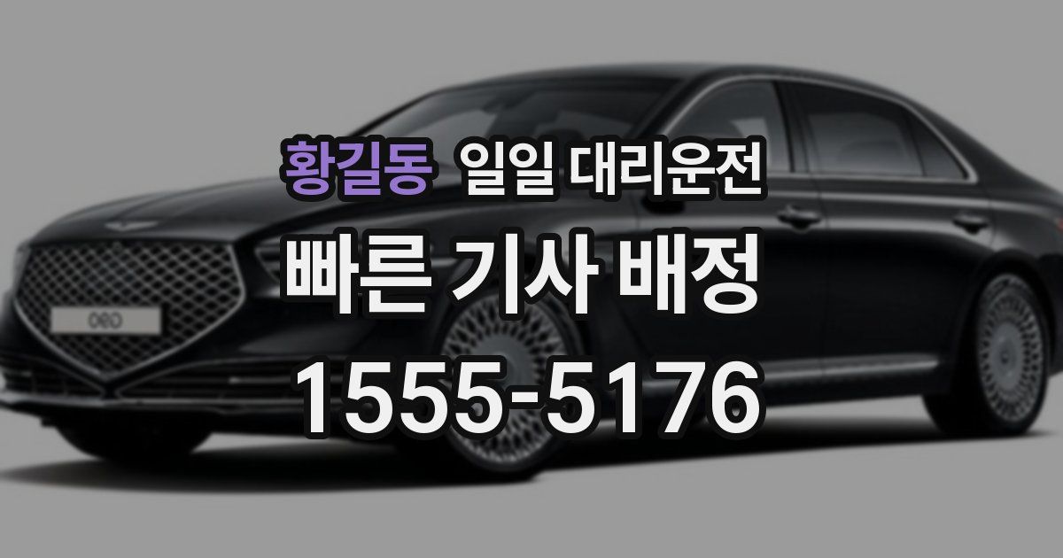 황길동 일일 대리운전