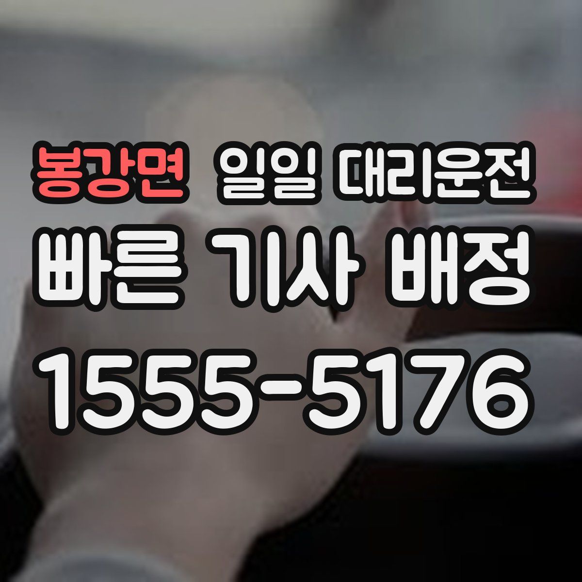 봉강면 일일 대리운전
