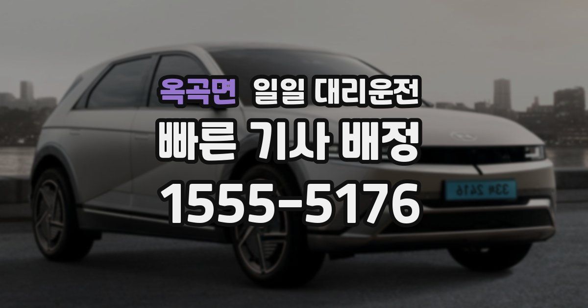 옥곡면 일일 대리운전