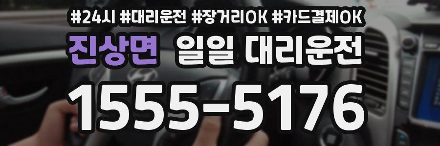 진상면 일일 대리운전