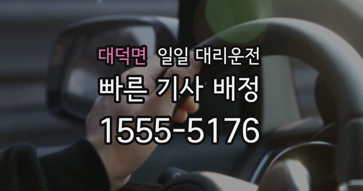대덕면 일일 대리운전