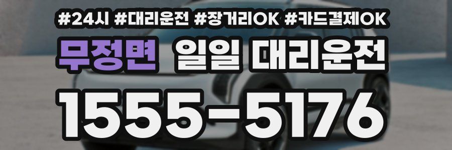무정면 일일 대리운전