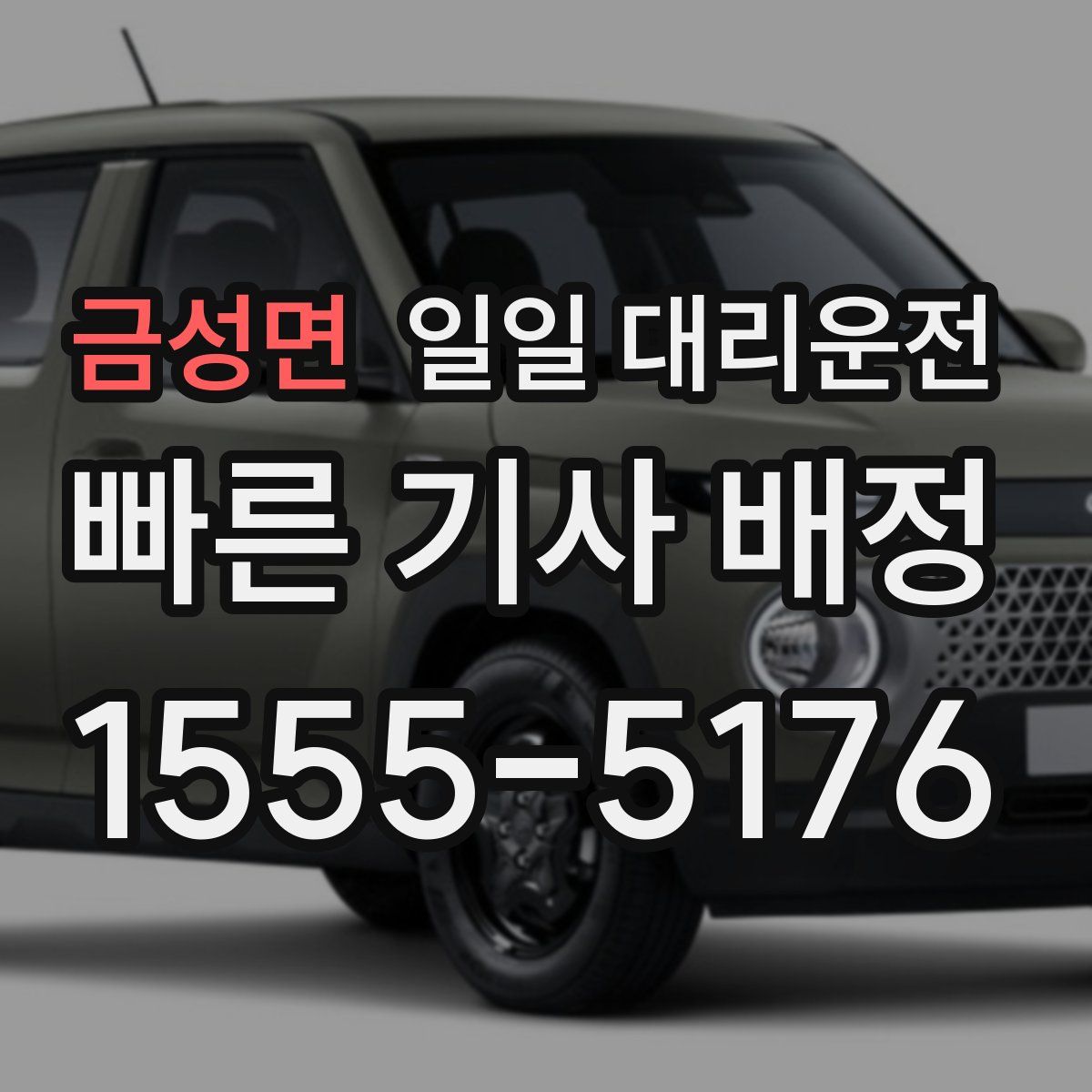 금성면 일일 대리운전