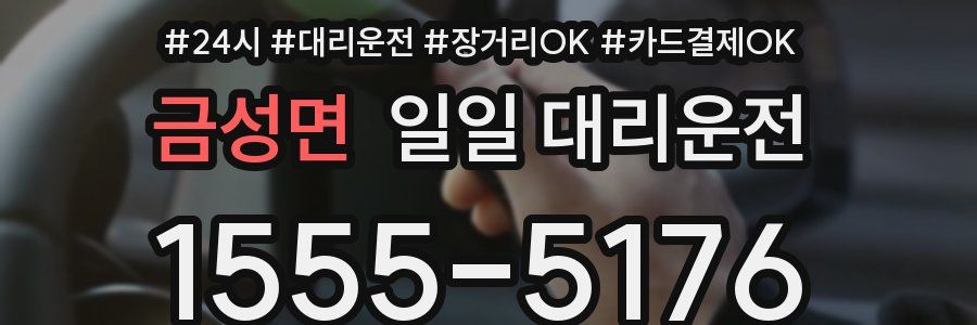 금성면 일일 대리운전