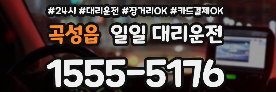 곡성읍 일일 대리운전