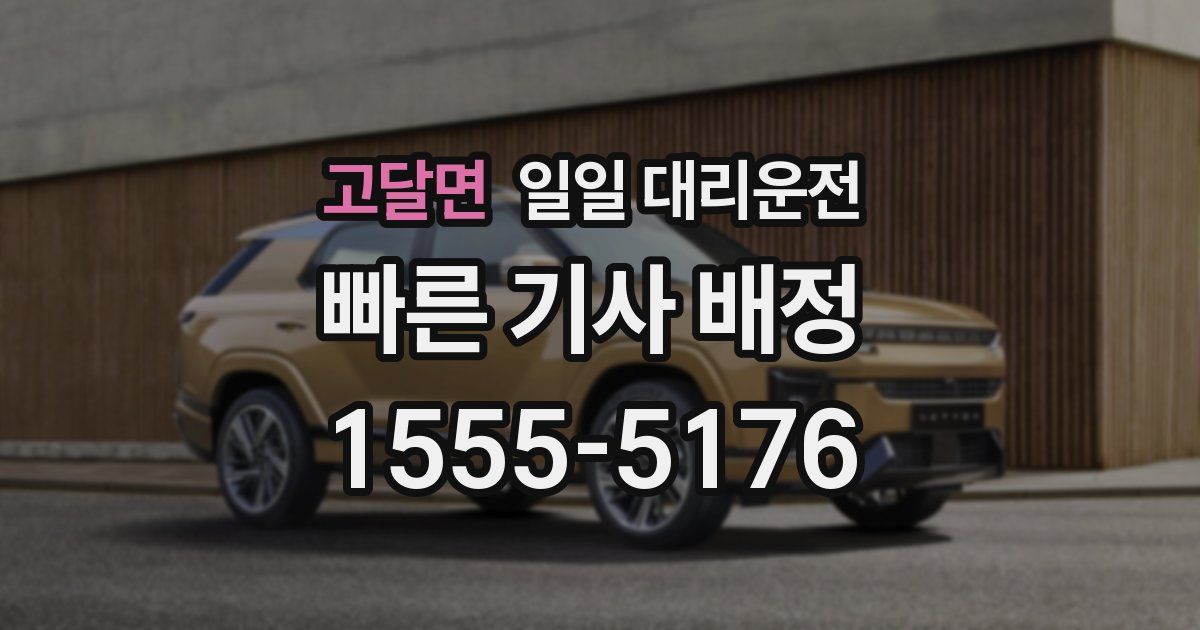 고달면 일일 대리운전