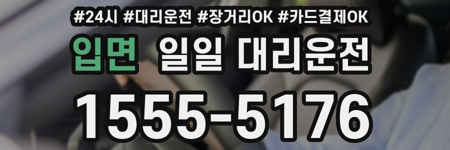 입면 일일 대리운전
