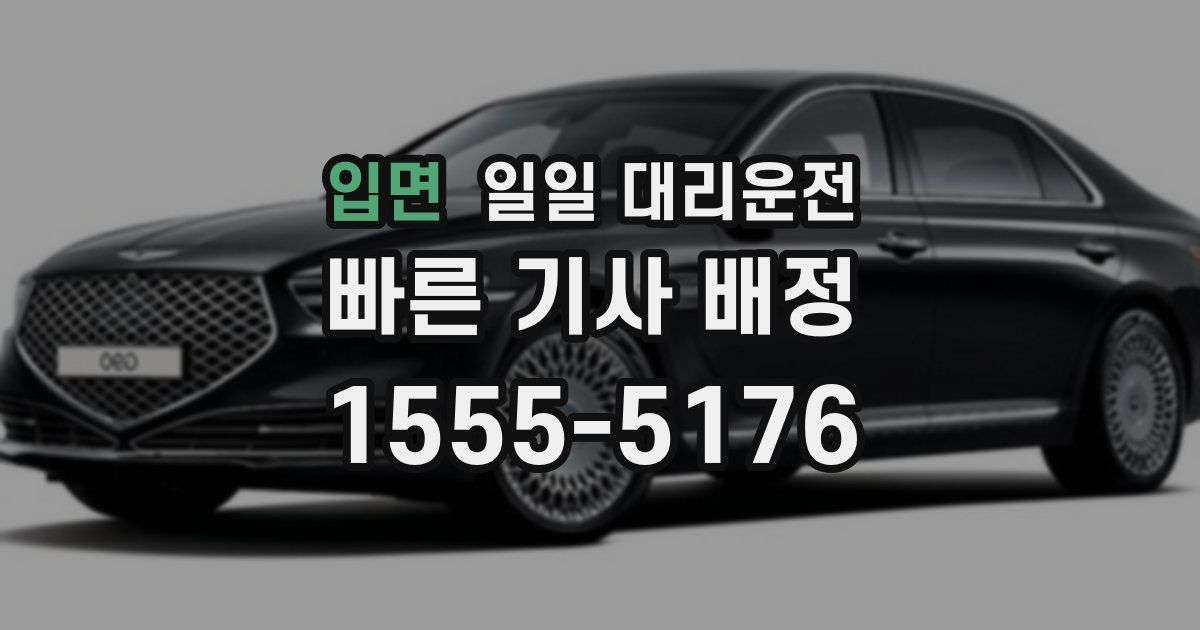 입면 일일 대리운전