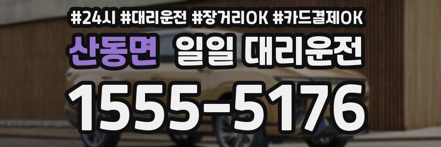 산동면 일일 대리운전