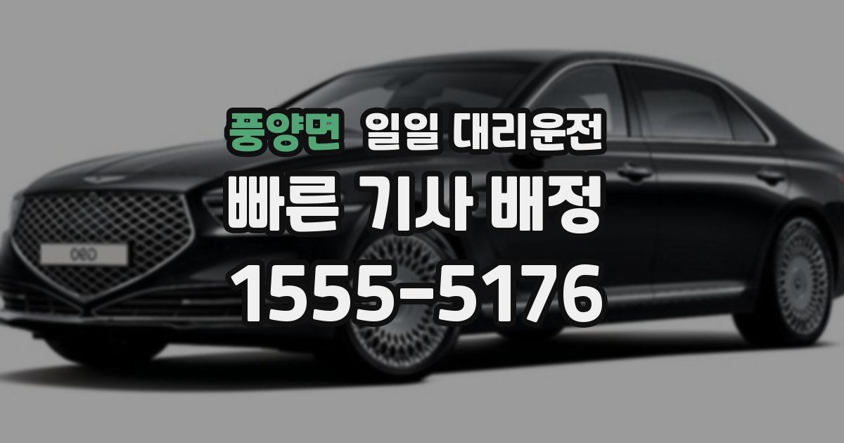 풍양면 일일 대리운전