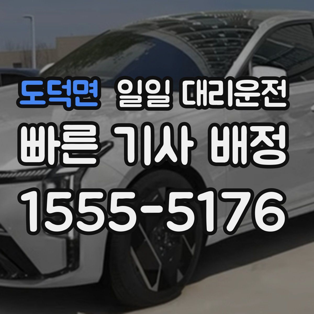 도덕면 일일 대리운전