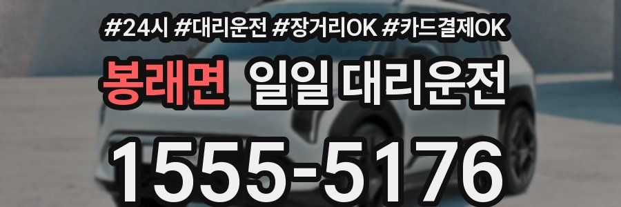 봉래면 일일 대리운전
