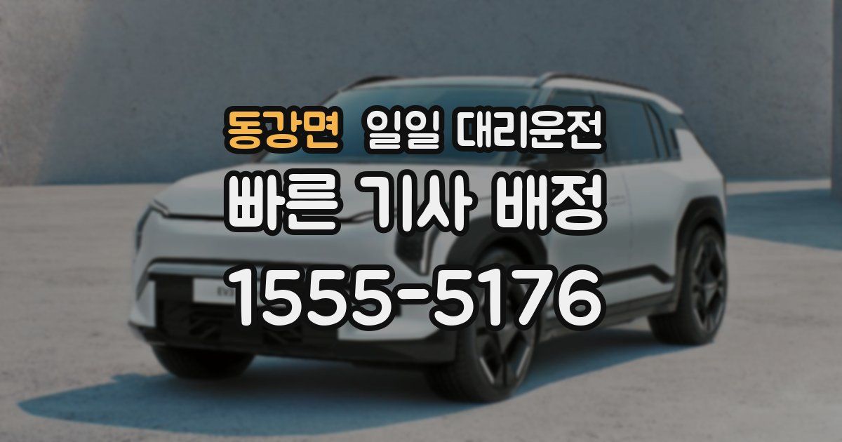 동강면 일일 대리운전