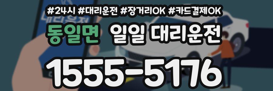 동일면 일일 대리운전