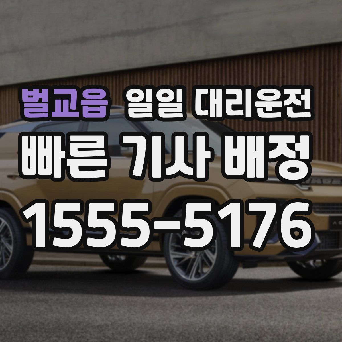 벌교읍 일일 대리운전