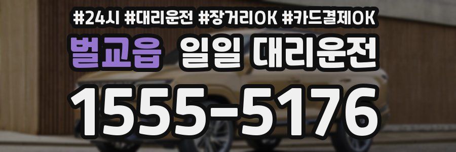 벌교읍 일일 대리운전