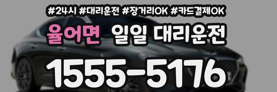 율어면 일일 대리운전