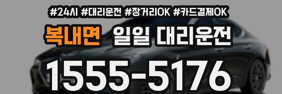 복내면 일일 대리운전