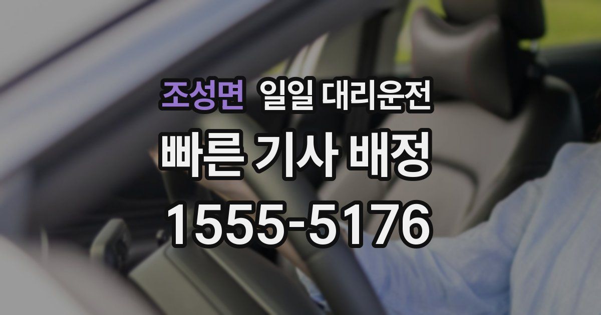 조성면 일일 대리운전