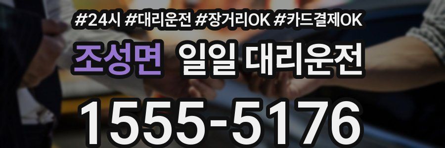 조성면 일일 대리운전