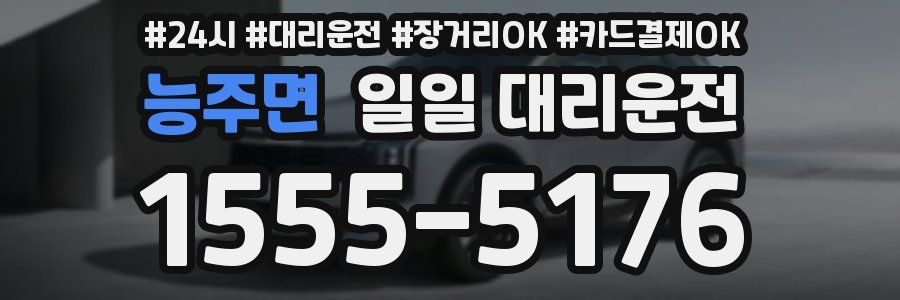 능주면 일일 대리운전