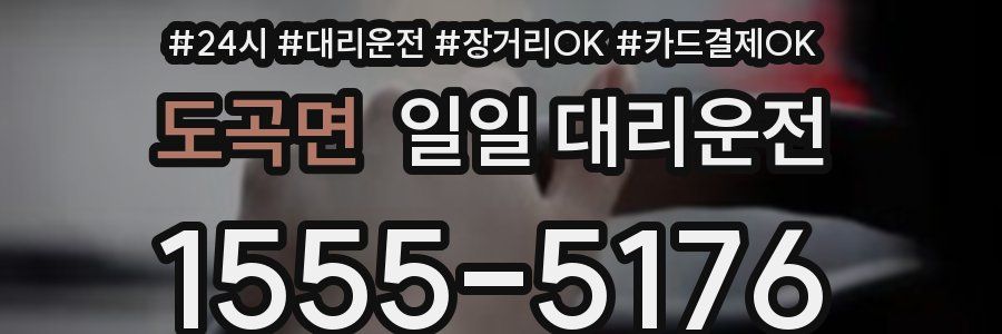 도곡면 일일 대리운전