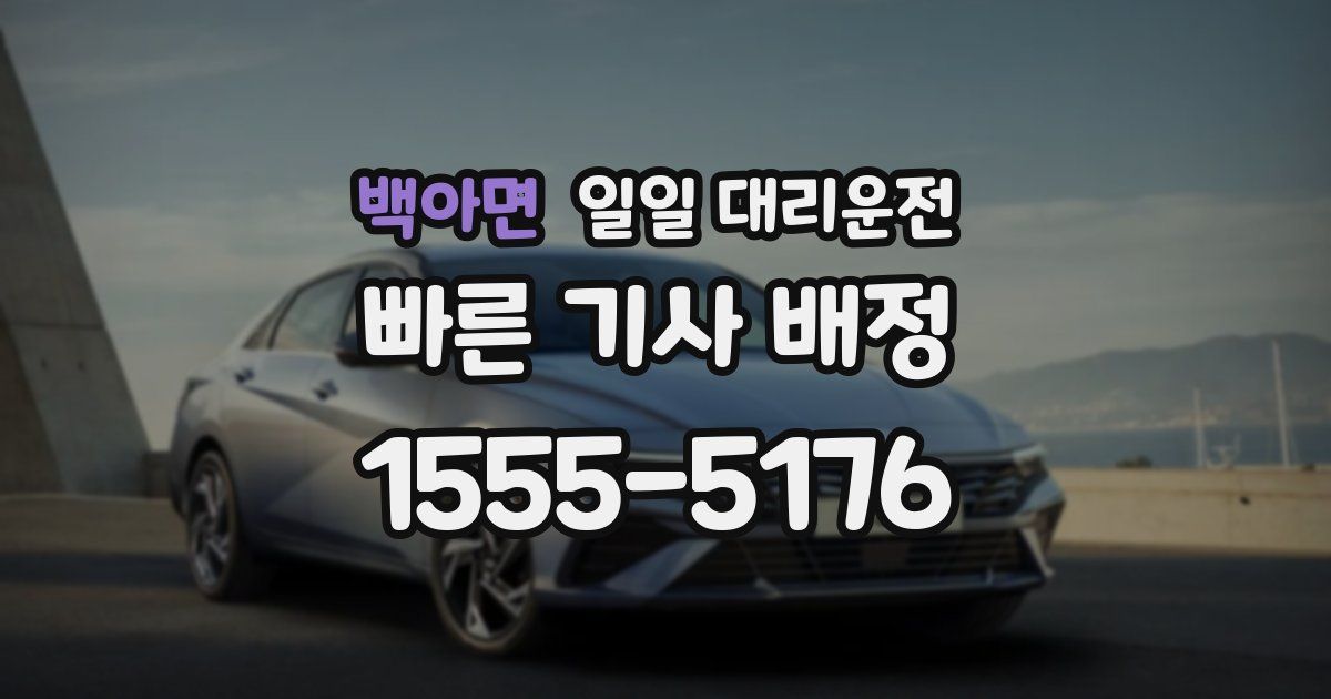 백아면 일일 대리운전