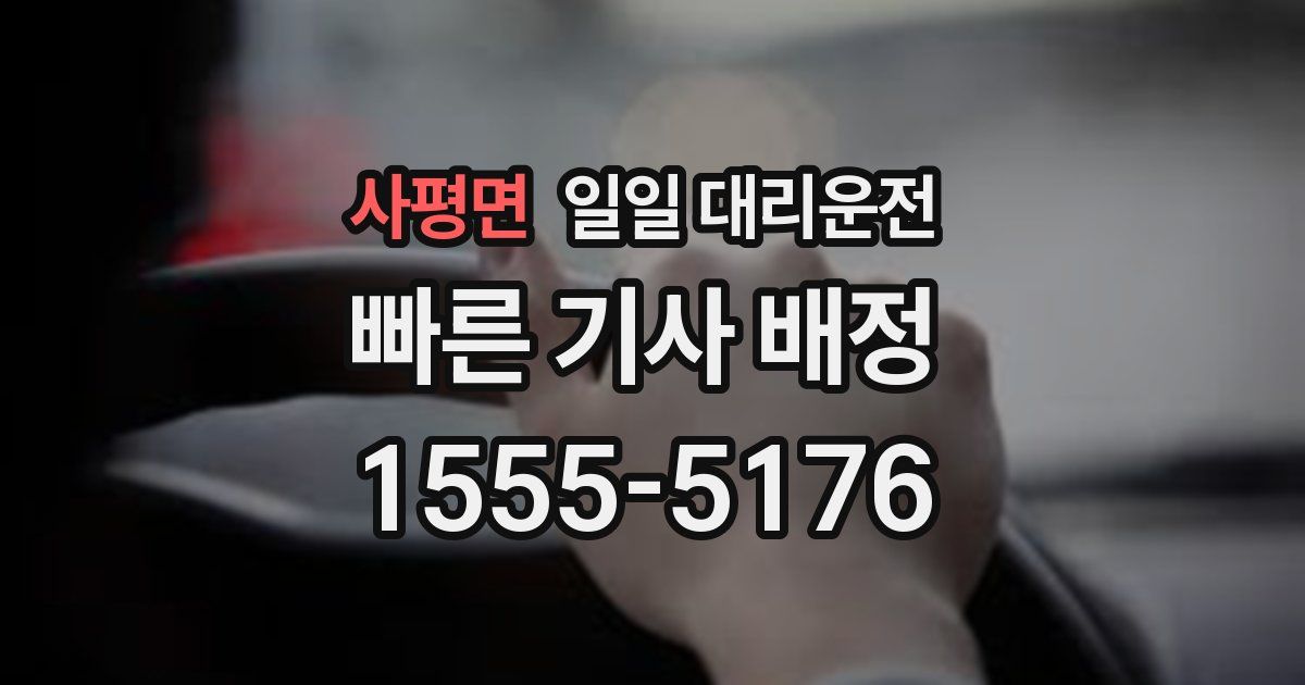 사평면 일일 대리운전