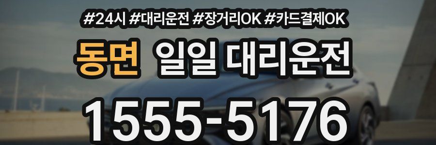 동면 일일 대리운전