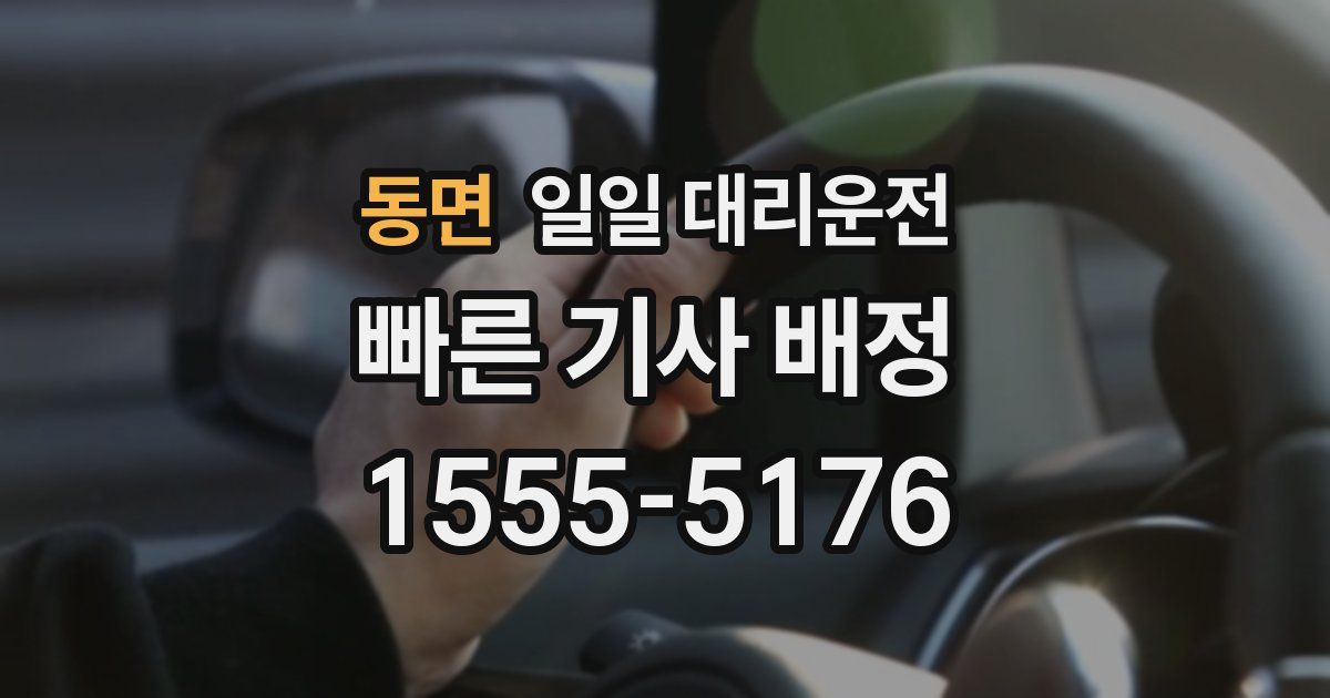 동면 일일 대리운전