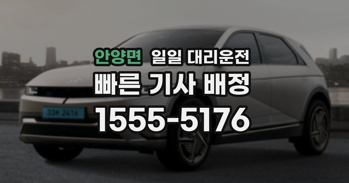 안양면 일일 대리운전