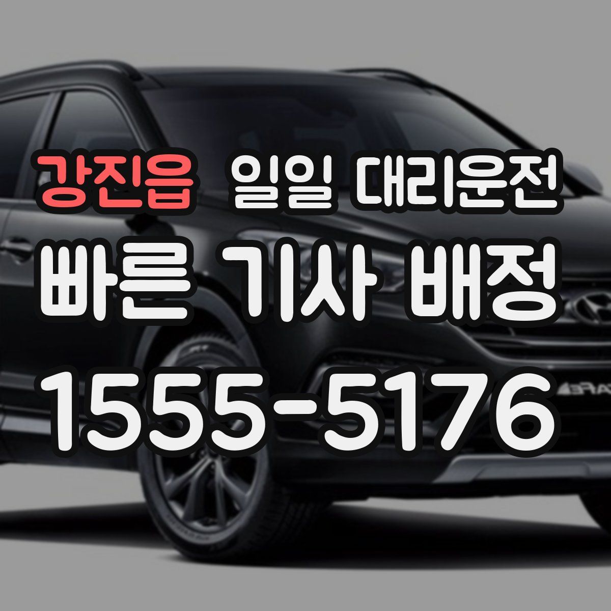강진읍 일일 대리운전