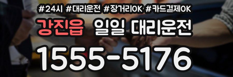 강진읍 일일 대리운전