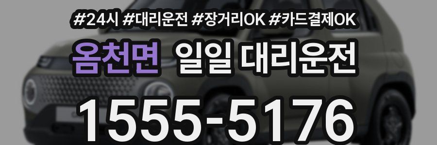 옴천면 일일 대리운전