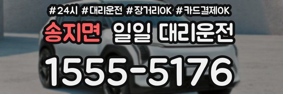 송지면 일일 대리운전