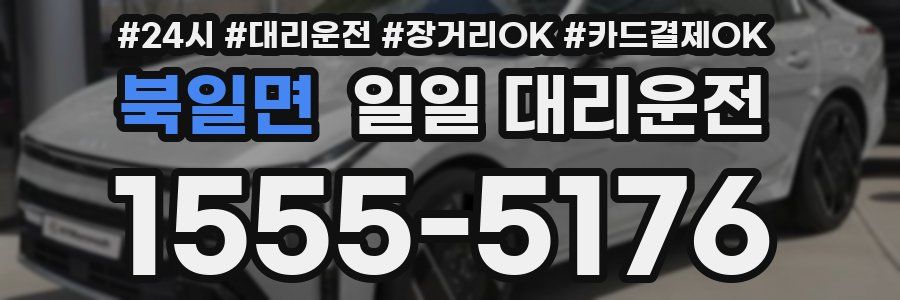 북일면 일일 대리운전