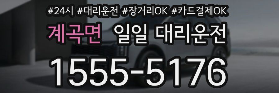 계곡면 일일 대리운전