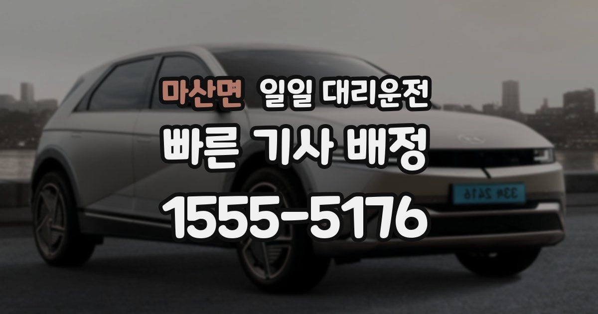 마산면 일일 대리운전