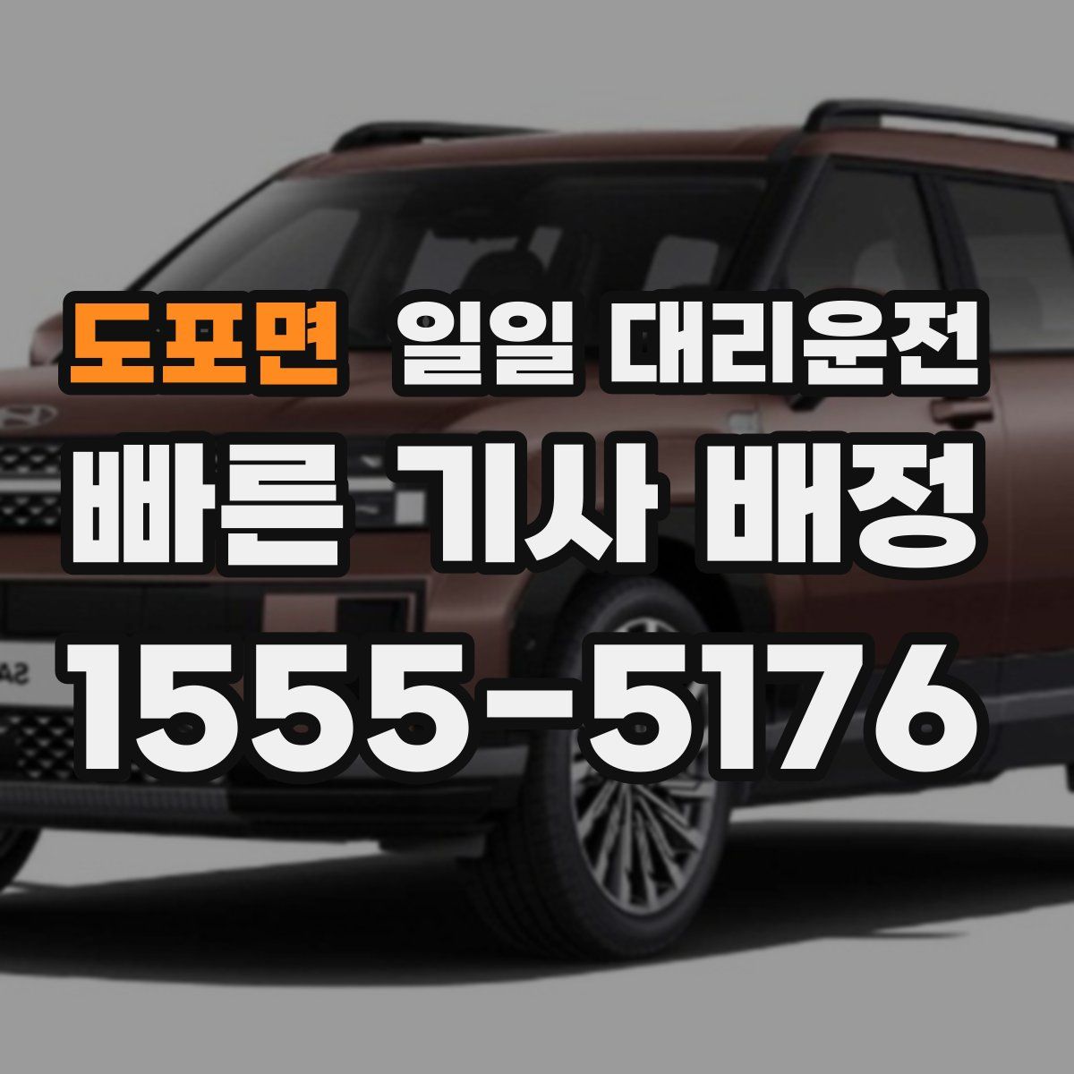 도포면 일일 대리운전