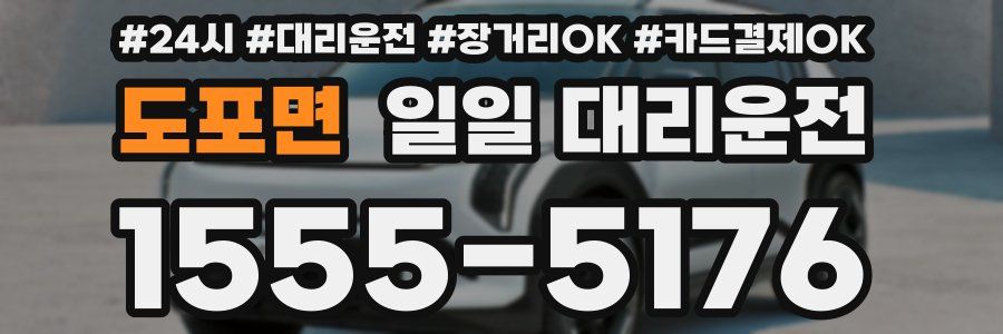 도포면 일일 대리운전