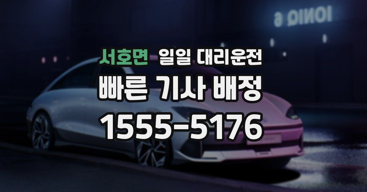 서호면 일일 대리운전