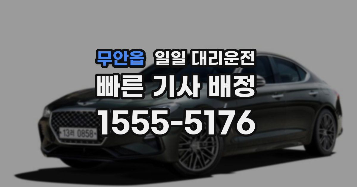 무안읍 일일 대리운전